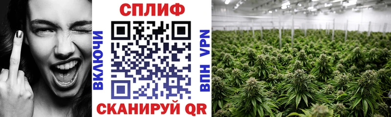 Виды наркотиков купить Куйбышев АМФЕТАМИН  Альфа ПВП  Мефедрон  Галлюциногенные грибы  Метамфетамин  Cocaine 
