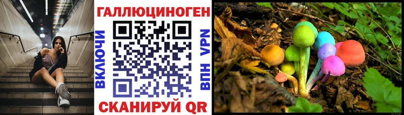 Галлюциногенные грибы Psilocybe  Куйбышев 