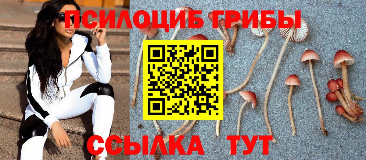 Псилоцибиновые грибы ЛСД Куйбышев