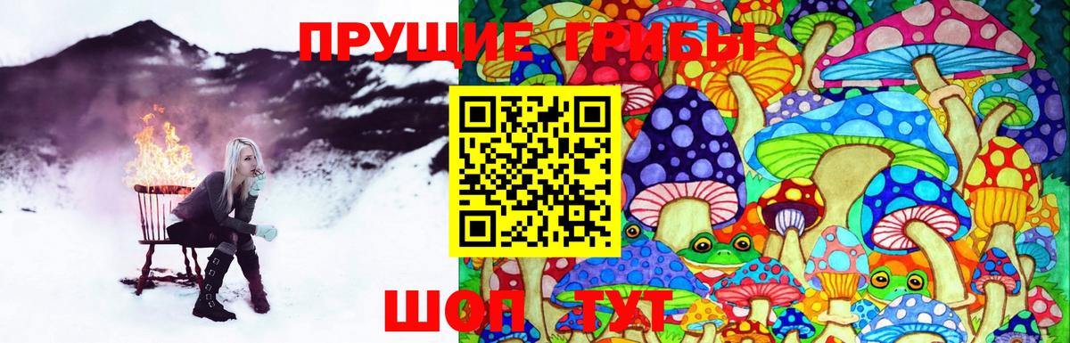 Куйбышев  Псилоцибиновые грибы мухоморы  Псилоцибиновые грибы мухоморы  Вход с VPN 