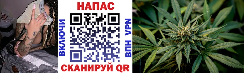 дарнет шоп  Куйбышев  Канабис семена 